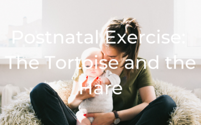 Postnatal Exercise: The Tortoise and the Hare